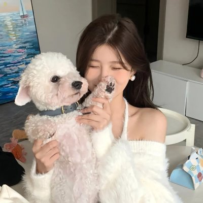 伍六七之暗影宿命海报